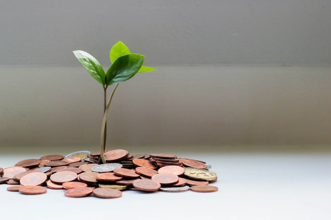 Rentabilidad – Finanzas e Inversiones