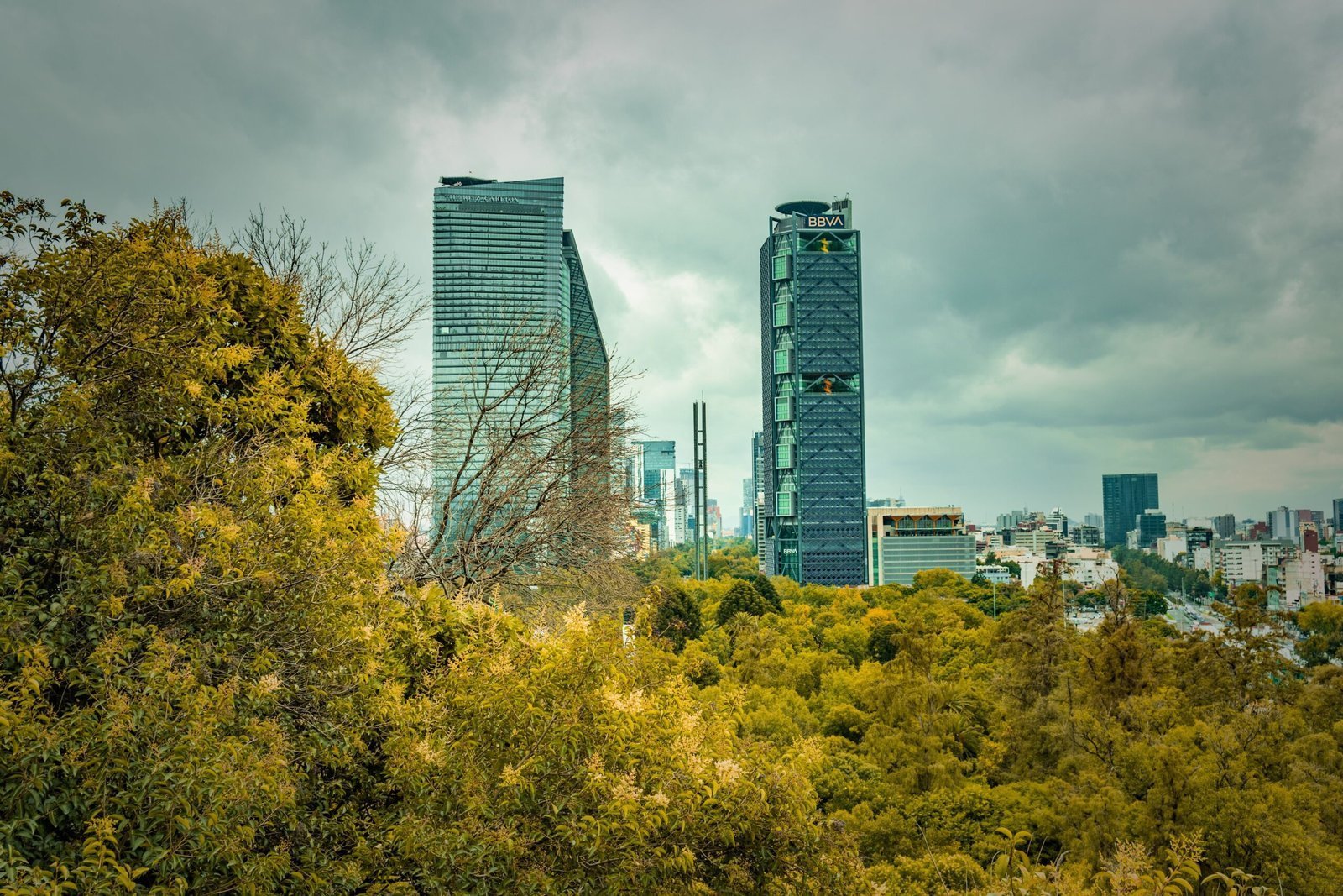 Beneficios ambientales de las rehabilitaciones de edificios en comparación con la construcción nueva.